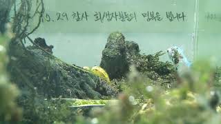 [1029참사 추모 어항방송] Aquarium Live - 2023.03.09 Thu KST