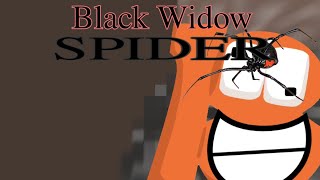 Number 18: Black widow spider