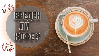 ВРЕДЕН ЛИ КОФЕ? | Польза и вред