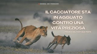 "Il cacciatore sta in agguato contro una vita preziosa" (predica del Past. Testa su Proverbi 6:26).