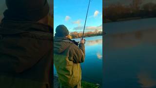 must watch!!! #fishing #carpy #london #carping #fish #carp #shorts #carp #fishinglife #carpworld