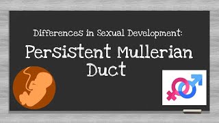 Persistent Mullerian Duct (Differences in Sexual Development)