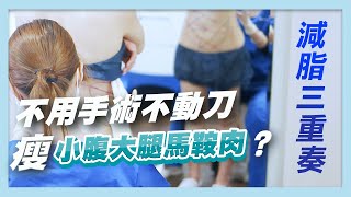 冷凍減脂瘦更快？ 瘦肚子快又有效？ 減脂三重奏 瘦肚子小腹大腿馬鞍肉