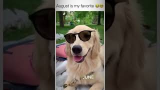 Which dog month is your favorite