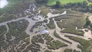 Saltmarsh & River Flight