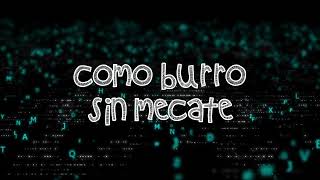 Chuy Lizárraga - Como Burro Sin Mecate (Letra)