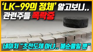 "세계 최초인 줄 알았는데" K-초전도체 폭등했던 관련주들 어떡하나...