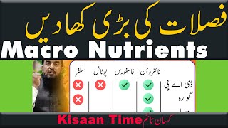 Macro Nutrients for Crops Fertilizers plan khad plan Best fertilizers for Crop Kisan timeکسان ٹائم