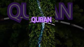 Surah younus Ayat no 71-73 urdu translation #shorts#video#viral #youtube#quran#viral