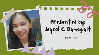 Elevator Pitch by Jaycel Dumaguit on Internal Controls