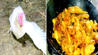 Village style chicken🐓 curry !! Simple chicken carry/ chicken carry recipe, #animavillagecooking