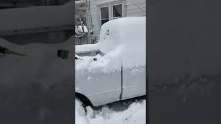 Z3m and e91 in snow plow mode