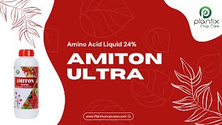 AMITON ULTRA (Amino Acid Liquid 24%)