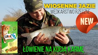 Wędkarstwo Rzeczne | Wiosenne jazie na grunt  | Łowienie ryb na kocią karmę