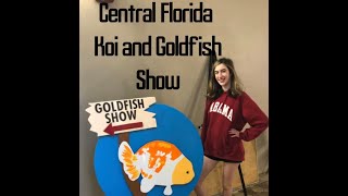 Central Florida Koi and Goldfish Show 2022 - Coming home with RARE fish??