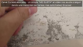 Como quitar el MOHO de la Pared FACIL. Tratamiento anti hongos y manchas por humedad rápido y simple