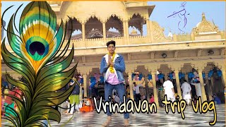 vrindavan trip vlog | jatin bindas #vrindavan #kirtimandir #barsana