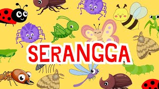 Belajar Nama-nama Hewan Serangga | Belajar Nama-Nama Hewan Kecil | Ulat Kupu-kupu Kumbang