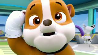 First look: PAW Patrol in isiZulu