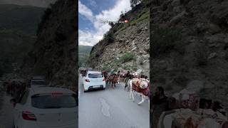 Log bure nahi hote - Halat bure hote hein | Kishtwar | Kishtwariyat #shortvideo #ytshorts