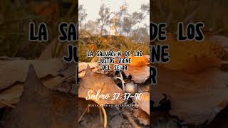 Promesas Bíblicas: Salmo 37:37-40 #bible #biblia #jesus #cristo #diosteama #cristianos #evangelico