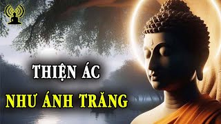 Muốn tìm tới giác ngộ, cần biết rõ thiện ác, nuôi dưỡng trí tuệ, tăng trưởng phước đức đến viên mãn.