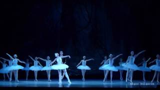 Адажіо з балету «Лебедине озеро». Adagio from the ballet Swan Lake.