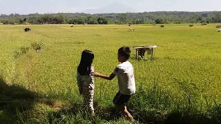 Kampung halaman Sawah kuningan