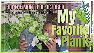 October Favorites!