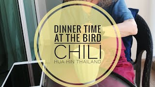 Bird Chili restaurant Hua Hin