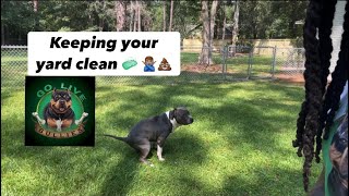 American BULLY Kennel life | Best method to keeping a LARGE yard clean 💩🙅🏽‍♂️