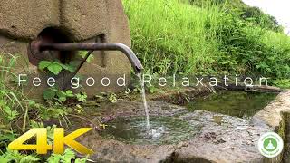 Relaxing Video of a beautiful well in South Germany 4K