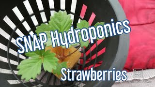 SNAP Hydroponics FAQs and making.