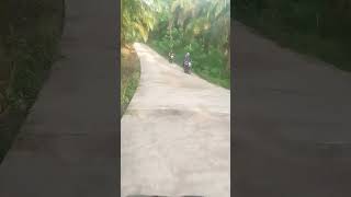 Potong jalan lewat perkebunan sawit