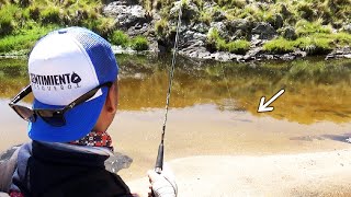 Pesca de truchas con SPINNING y mosca - PESCA con CUCHARA