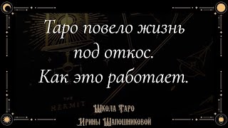 Таро повело жизнь под откос🚽Как это работает🤔