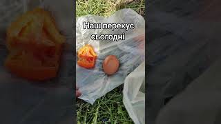 Наш перекусон на лохині #лохина #перекус #їжа