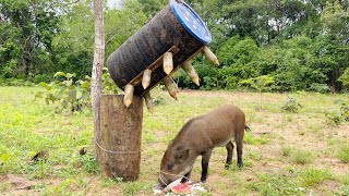 Creative Unique Wild Pig Trap Using Wood - Best Wild Pig Trap#shortvideo #wildpig #WildboarTrapping