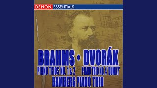 Piano Trio No. 4 "Dumky" in E Minor, Op. 90, B166: VI. Lento maestoso - Vivace