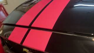 Vinyl frog Dimonds pink stripes on Mustang 5.0