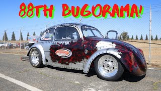 World Famous VW Bugorama 2022! *Sacramento Raceway*