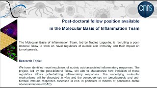 Post doc Position in Molecular Biology | March 2022 | CNRS  Montpellier, France | Study in France