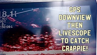 Use GPS, Downview then LiveScope to catch Crappie!