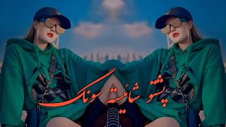 Pashto Shaistha Song - [HD] - 2024 پشتو شائیسته سونگ