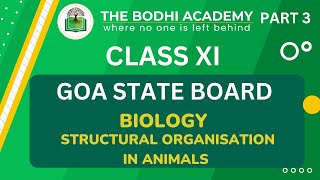 GOA BOARD || CLASS 11 || STRUCTURAL ORGANISATION IN ANIMALS || PART 3