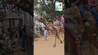 #nammabengaluru #placestovisitatbangalore#rajasthani resort#youtubeshort #shorts