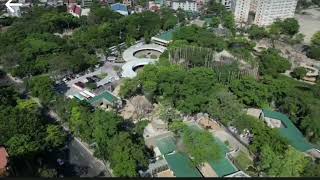 Manila zoo top view