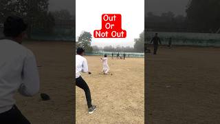 Out Or Not Out? #ytshorts #shorts #short #youtubeshorts #cricket #hafizabad