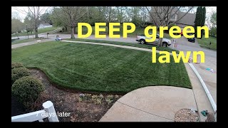 Get your lawn ready for guests | DEEP green in days