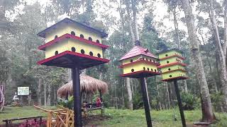 Taman Wisata Genilangit, Kecamatan Poncol - Kabupaten Magetan, Jatim / 08 Oktober 2017